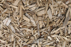 biomass boilers Little Marcle